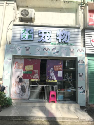 深圳宠物网_深圳宠物店联系方式