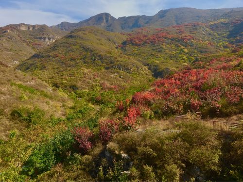 唐指山风景区好玩吗-顺义唐指山风景区好玩吗