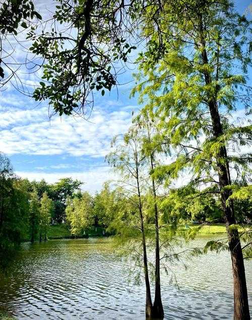 广州周边自然风景好的地方-广州周边自然风景好的地方有哪些