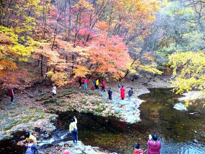 关门山森林公园-关门山森林公园门票多少钱